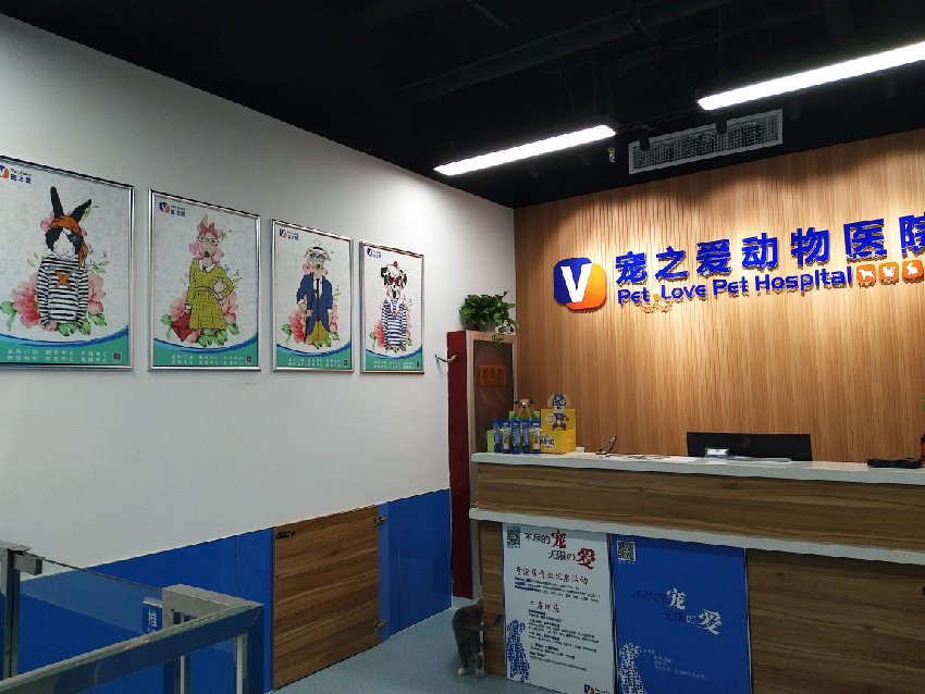 網站 文章圖片 模闆-01.jpg