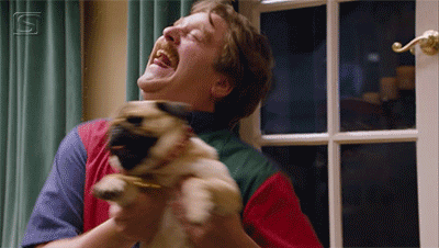 w400_h226_1de80aa450514a6d8a5d07764a0c2986.gif